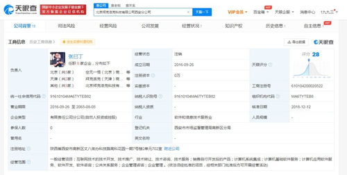 計(jì)算機(jī)系統(tǒng)集成服務(wù)的核心價(jià)值與實(shí)踐應(yīng)用